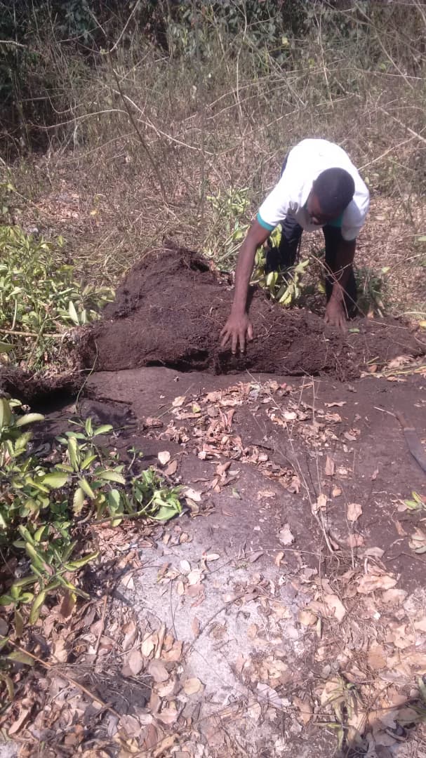 Topsoil cleared to expose granite bedrock at the 50-acre quarry site in Ogun State