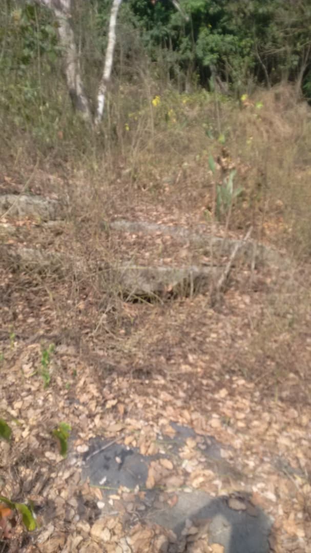 Exposed granite rock surface on quarry land for sale in Obafemi Owode LGA