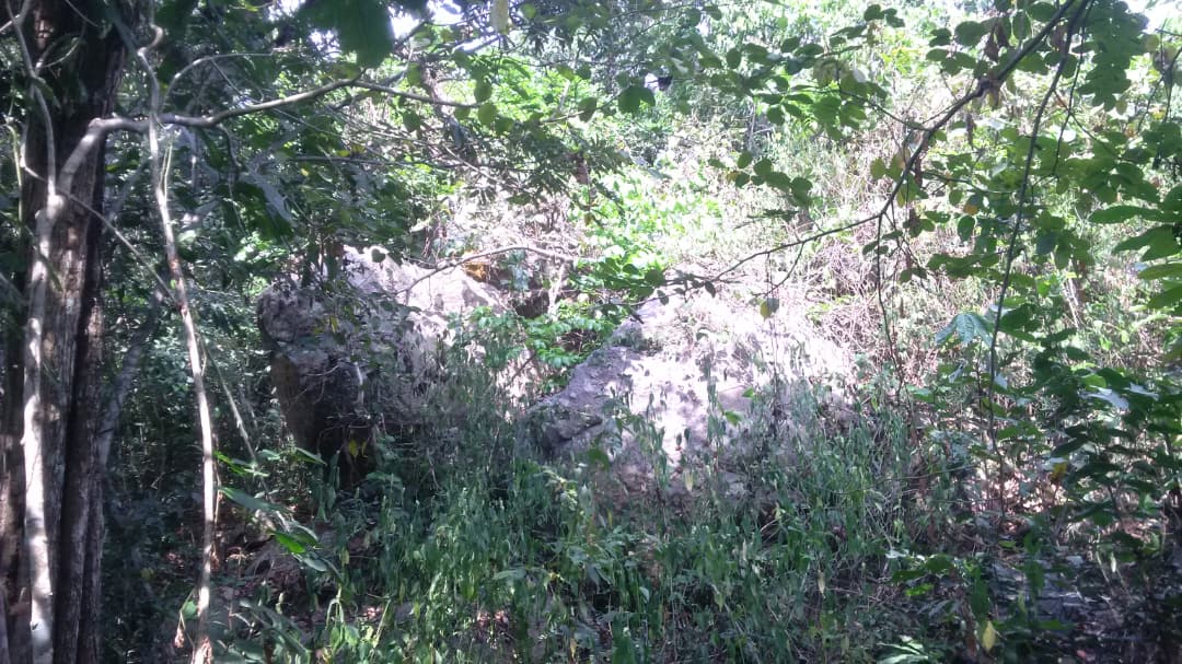 Massive granite rock formation on quarry land near Lagos
